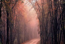 齐鲁体育场上精彩纷呈，赛场为胜利欢呼