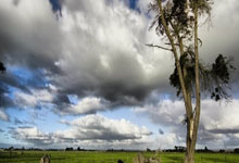 亚眠击败对手，扭转连败局面