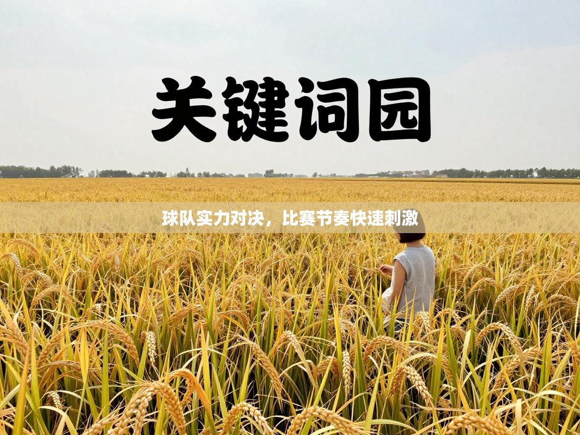 球队实力对决，比赛节奏快速刺激  第2张