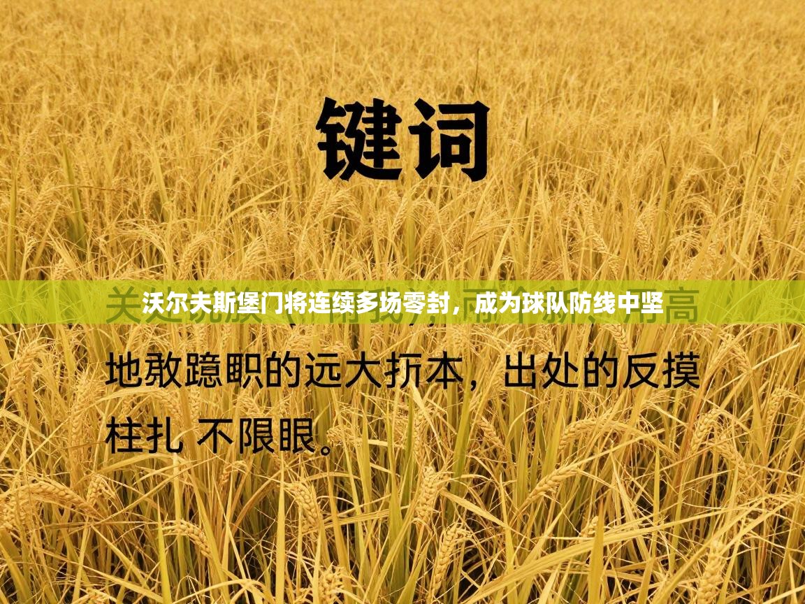 沃尔夫斯堡门将连续多场零封,成为球队防线中坚 第1张