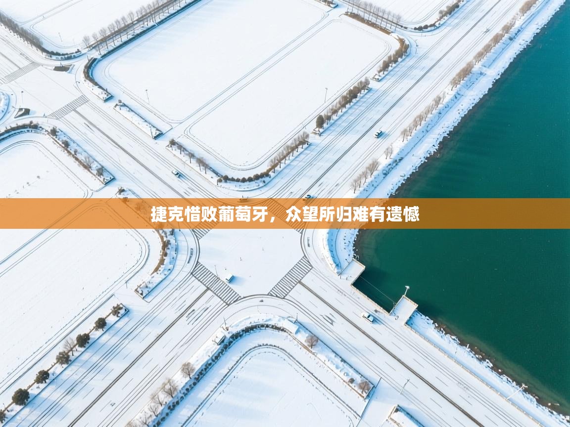 捷克惜败葡萄牙，众望所归难有遗憾  第1张