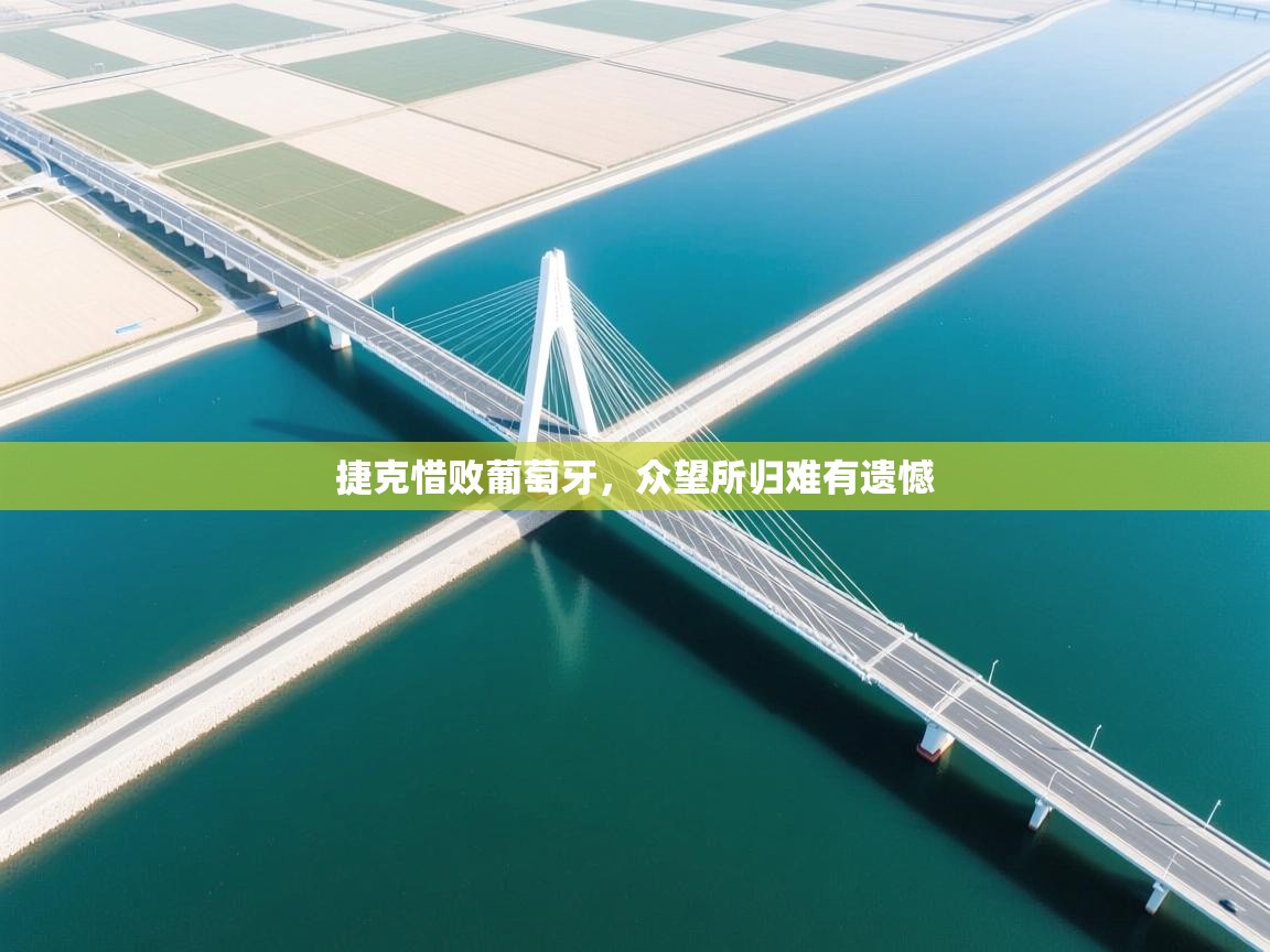 捷克惜败葡萄牙，众望所归难有遗憾  第2张